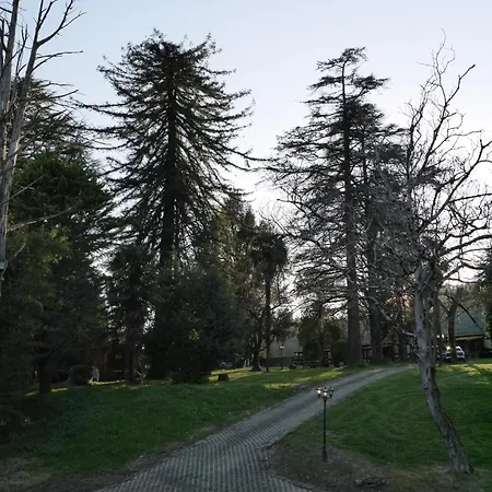 Rural Isasi *